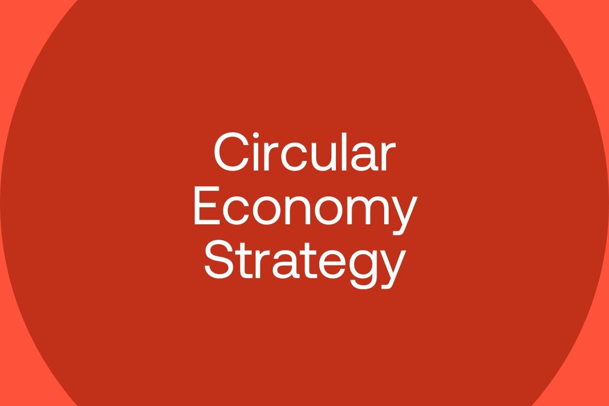 How to develop a circular economy strategy? An 8-step process for consumer businesses
