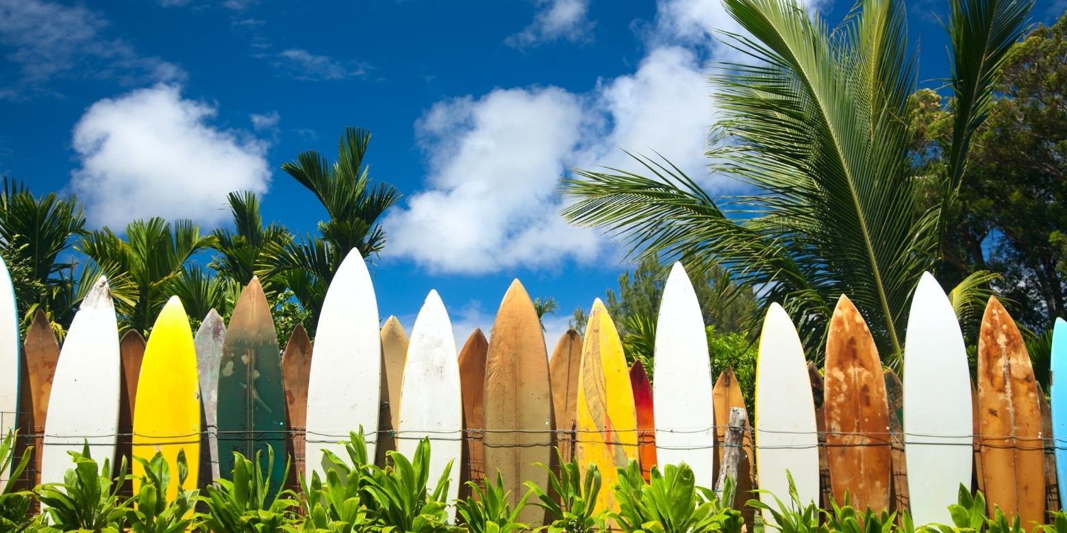 Surfboards leaning against a fence. It is a metaphor for surfing the web, while also representing a popular rental category. 