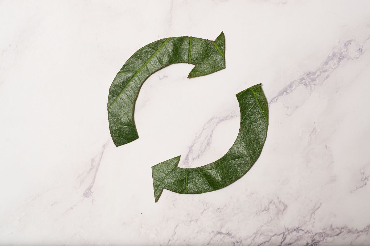 Circular business models: Move beyond theory to achieve real impact